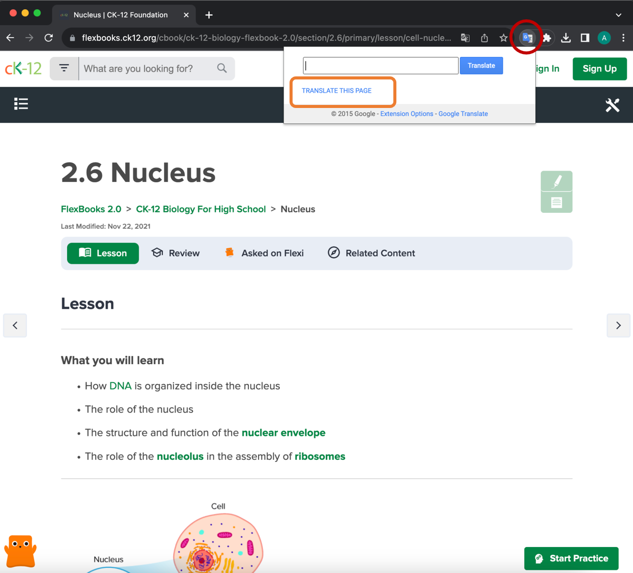 translate this page.png