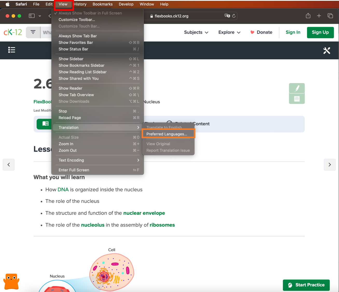 safari 1.png