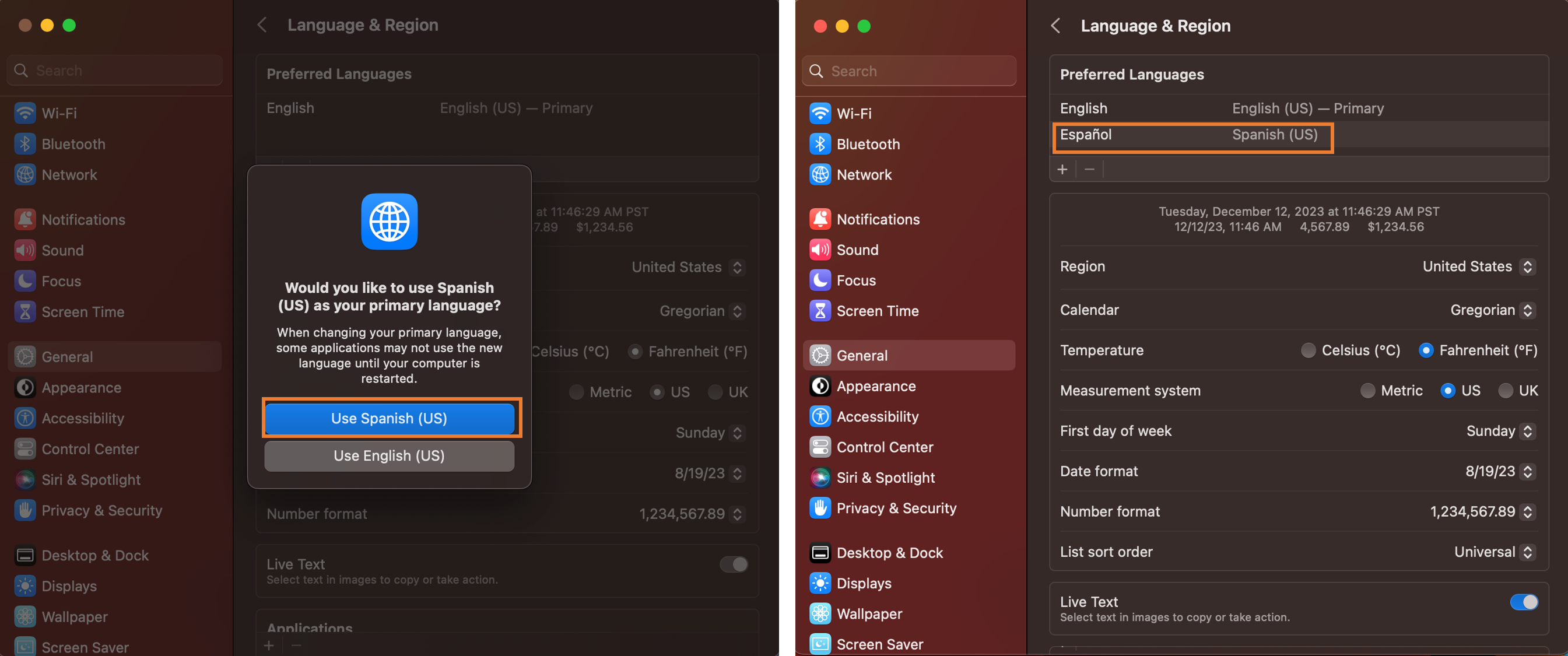 safari 3.png