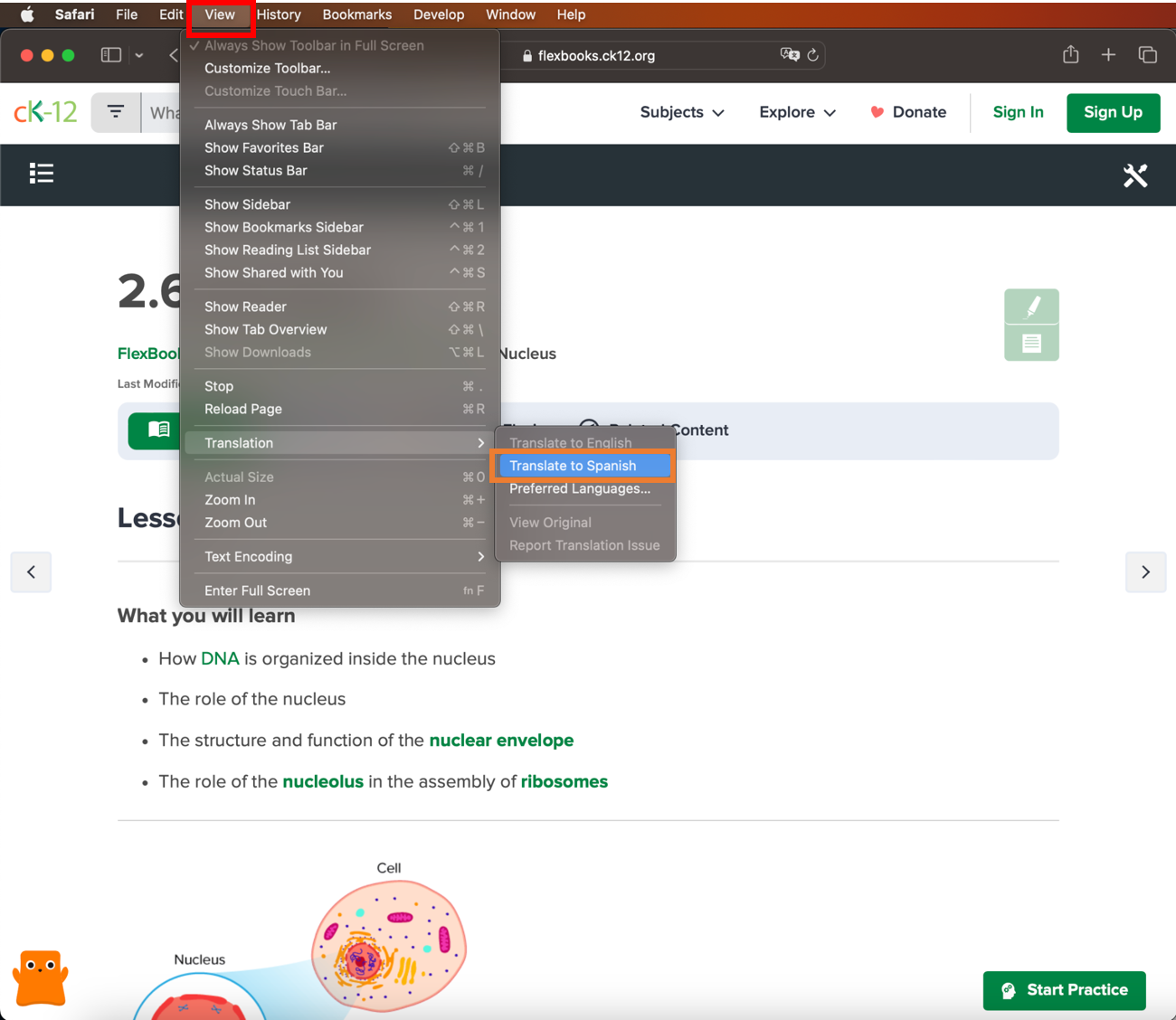 safari 4.png
